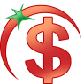 Stock Loan
